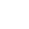 Security monitoring